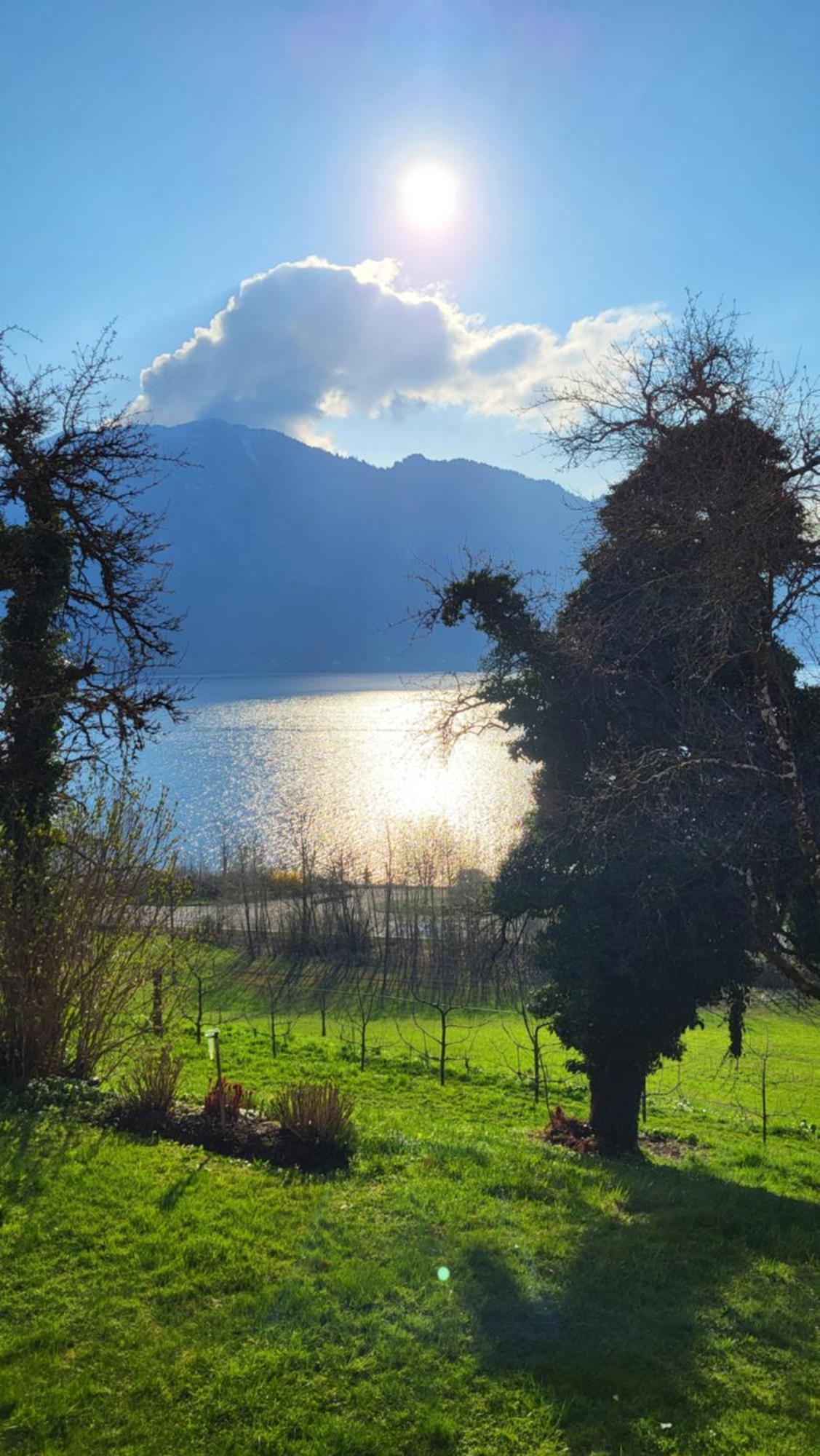 Exklusiv Apartment Scheichl Unterach am Attersee Dış mekan fotoğraf